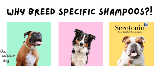 Why Breed Specific Shampoos? - The Saltiest Dog