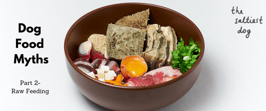 Dog Food Myths - Part Two - Raw Feeding - The Saltiest Dog