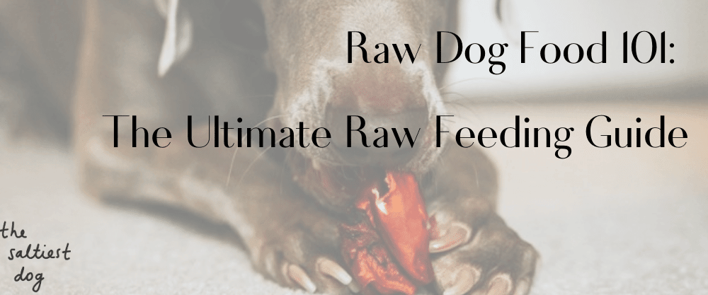 Raw Dog Food 101: The Ultimate Raw Feeding Guide - The Saltiest Dog