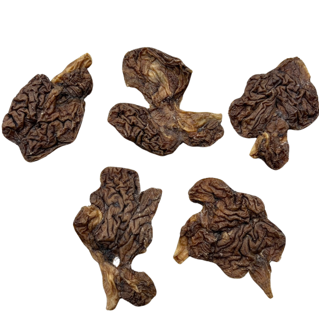 Dehydrated Lamb Brain