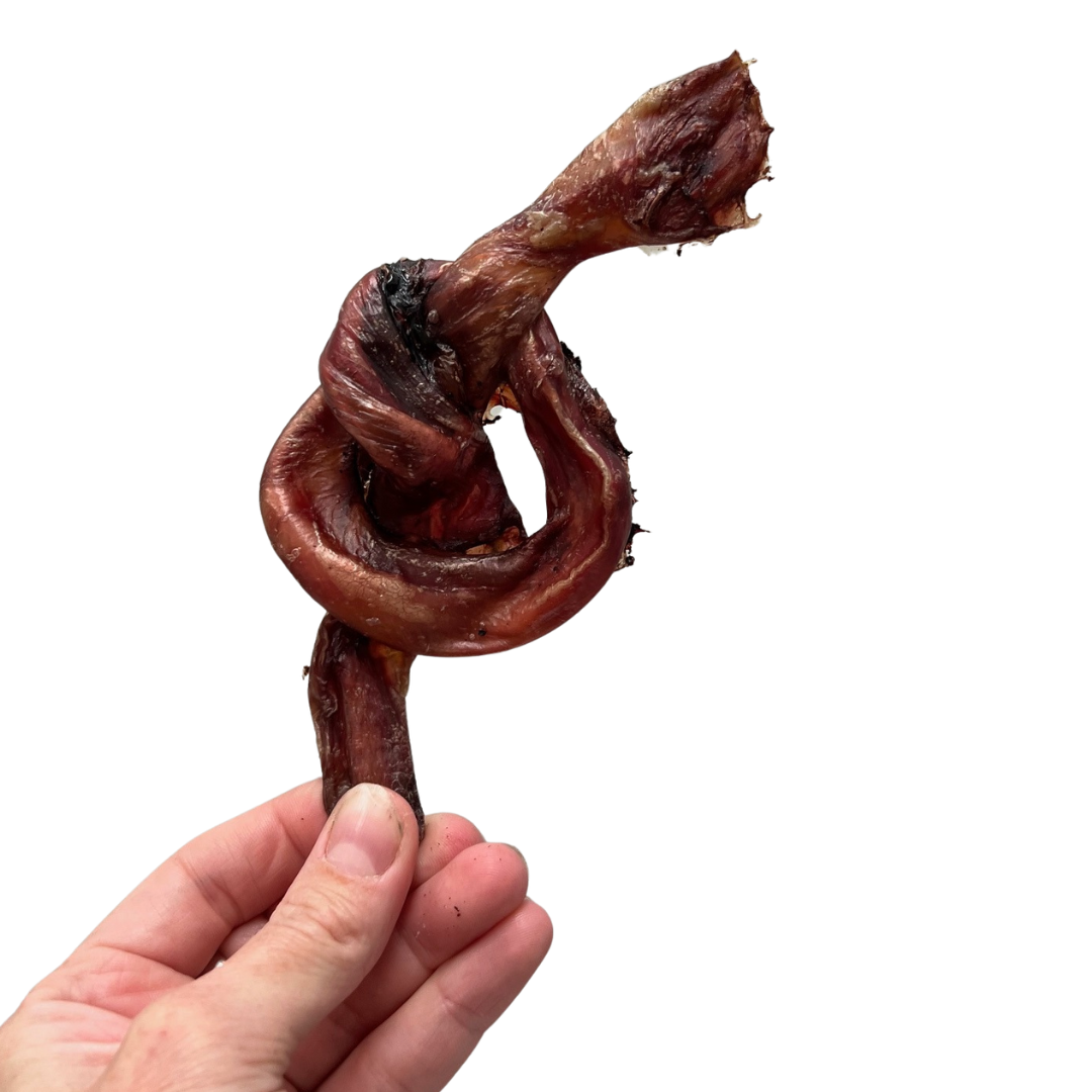 PIZZ -long lasting dog chew!
