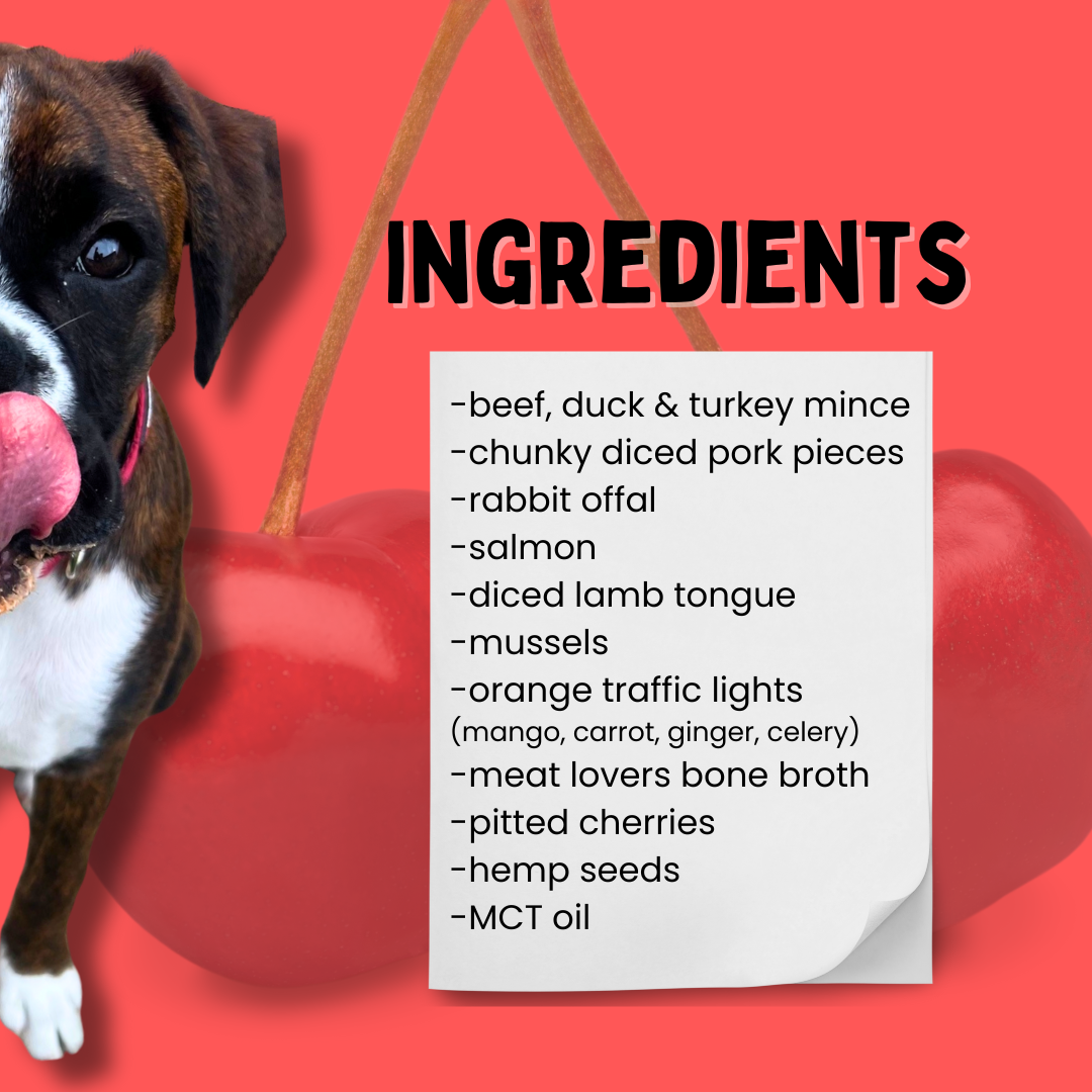 CHERRY BOMB - Limited Edition Raw Dog Food Meal