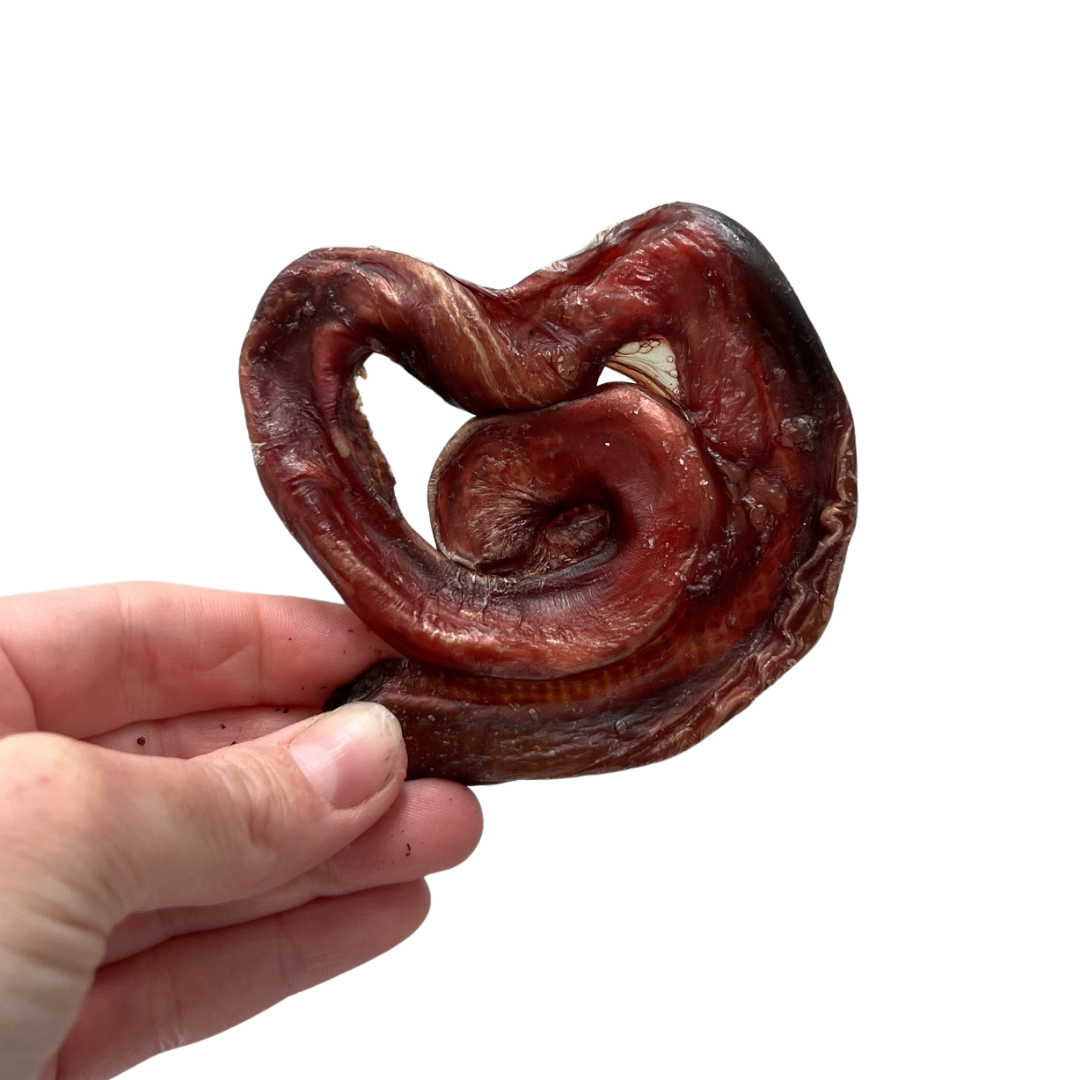 PIZZ -long lasting dog chew!
