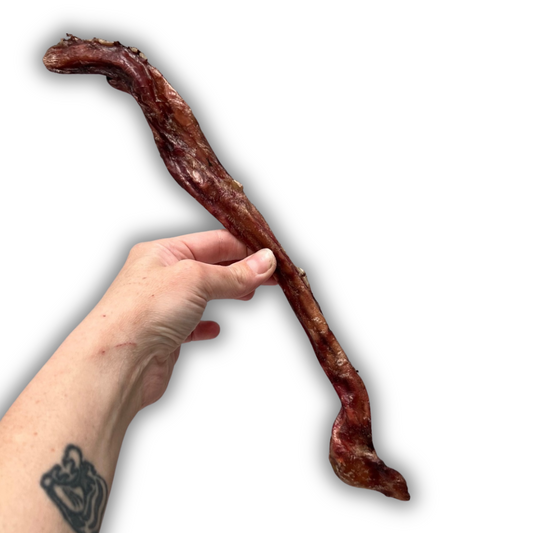 PIZZ -long lasting dog chew!