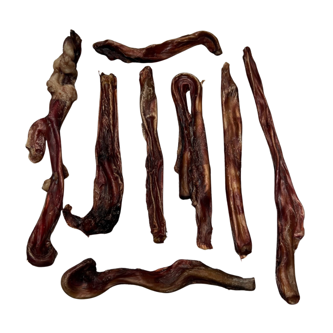 PIZZ -long lasting dog chew!