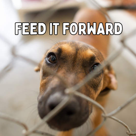 Buy A Rescue Dog A Meal