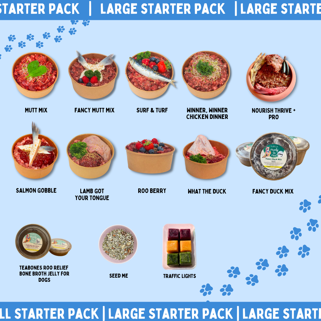 Super Salty Starter Pack (Large)