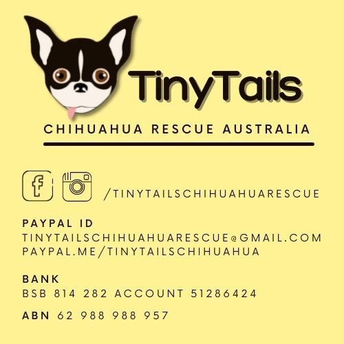 Buy A Rescue Dog A Meal