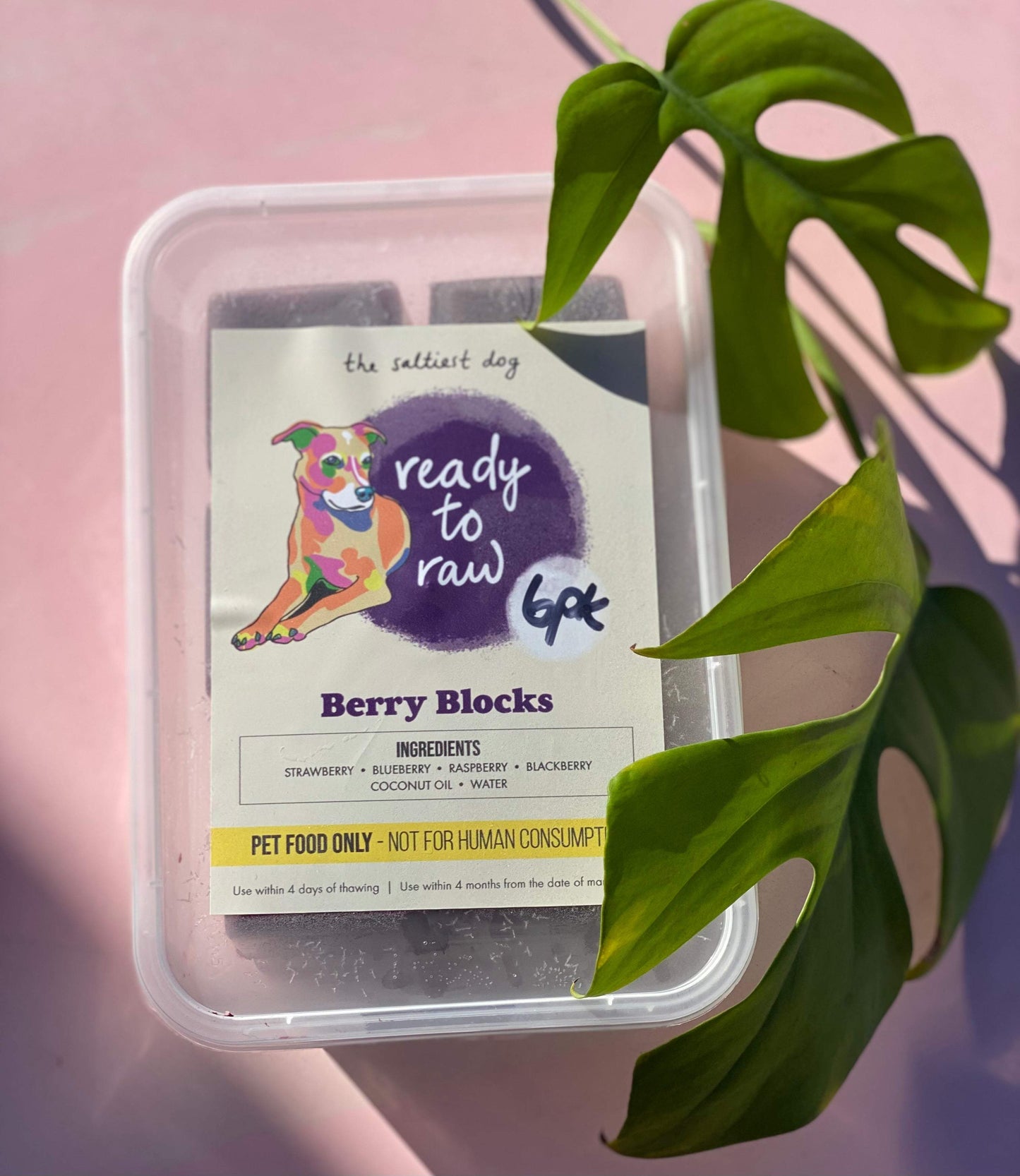 Berry Blocks - The Saltiest Dog