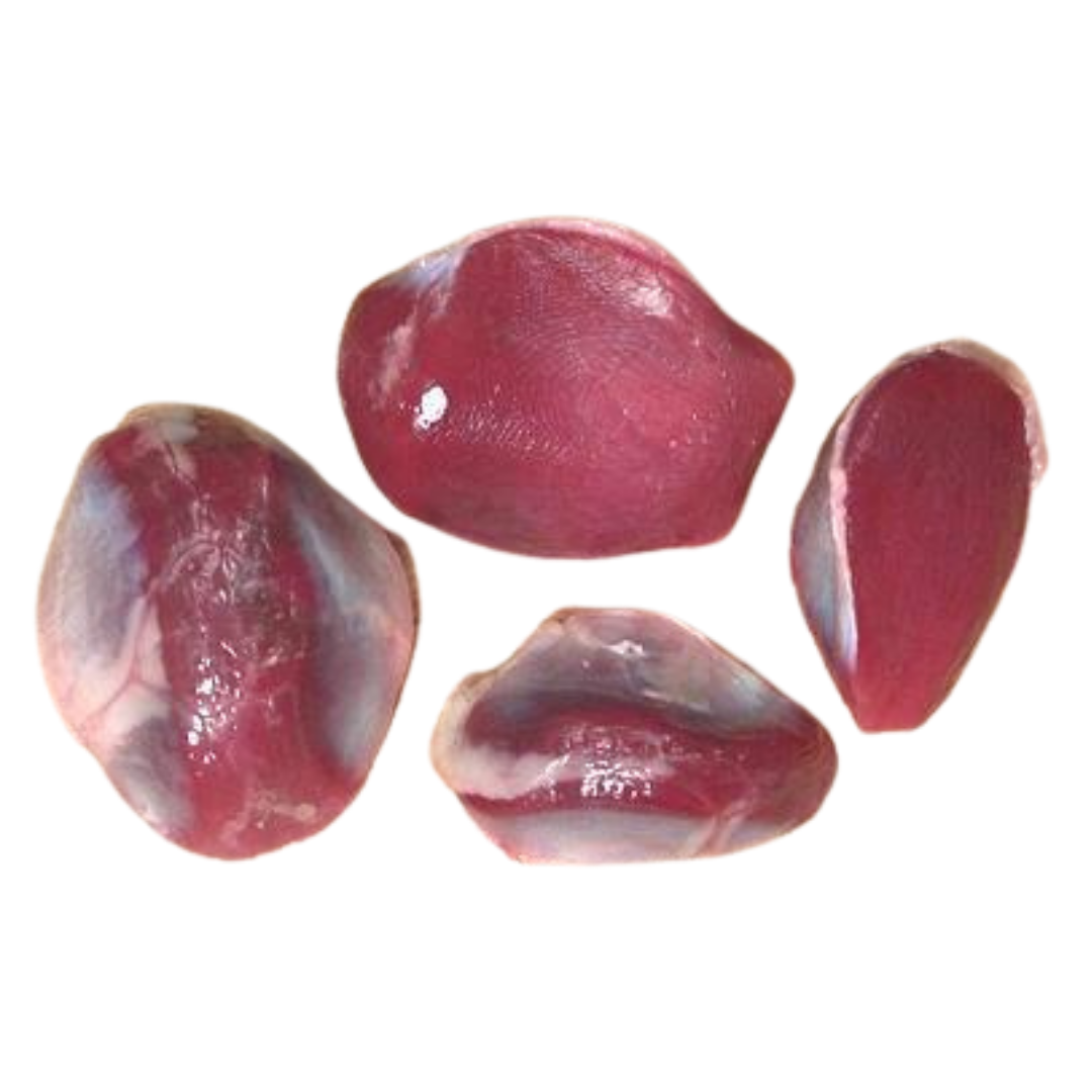 Duck Giblets