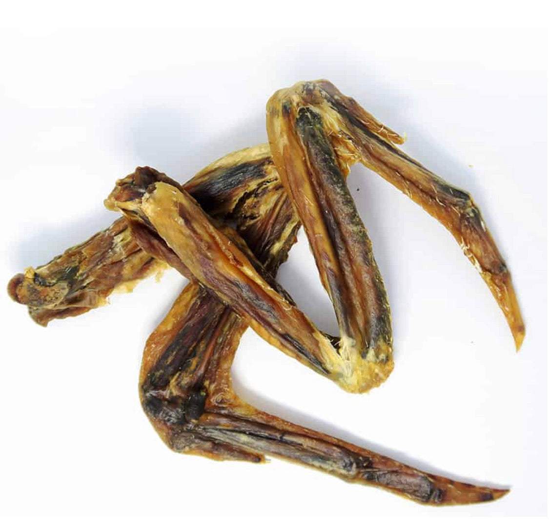 Duck Wing - The Saltiest Dog