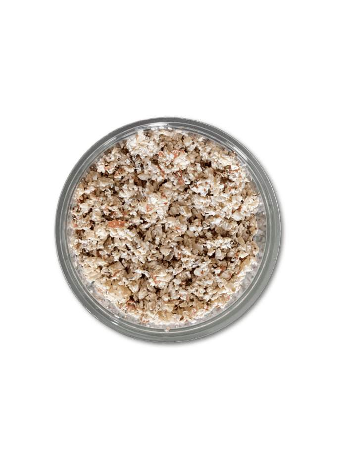 Seed Me - The Saltiest Dog