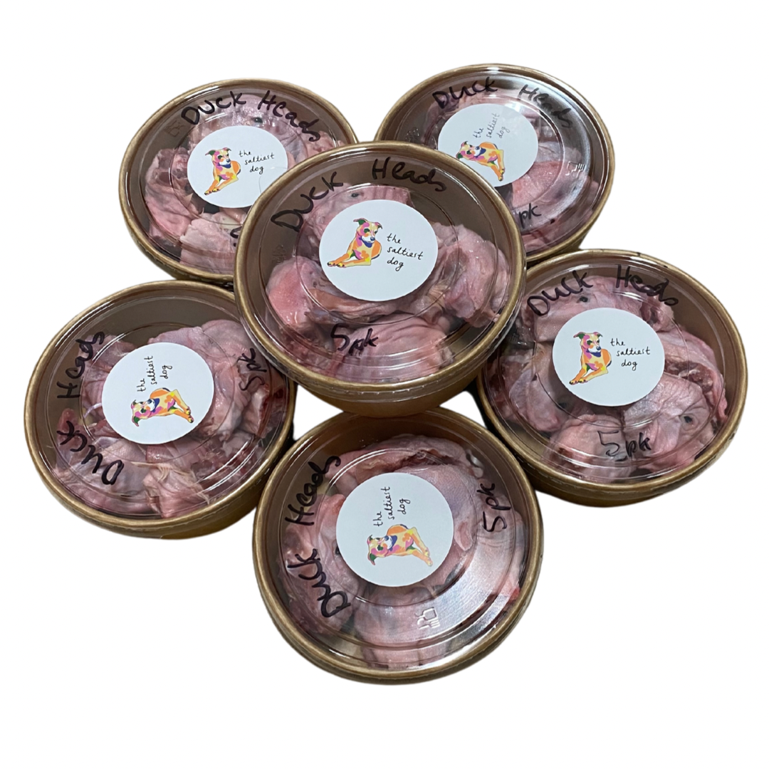 Duck Heads - The Saltiest Dog