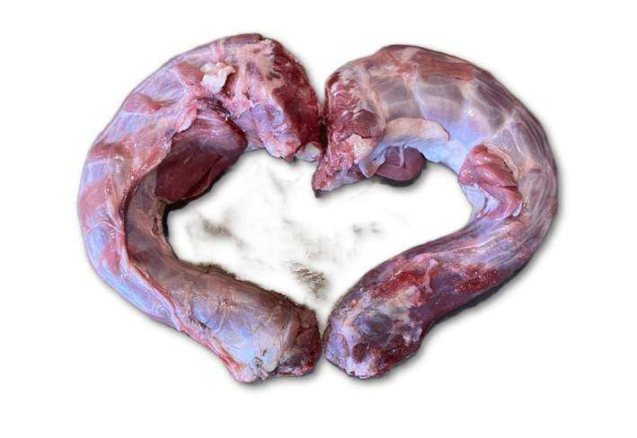 Turkey Necks - The Saltiest Dog