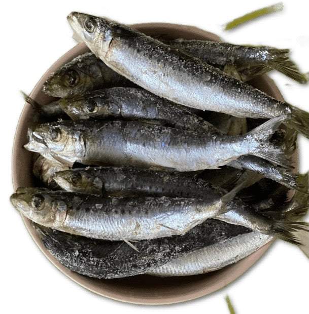 Sardines 1kg - The Saltiest Dog