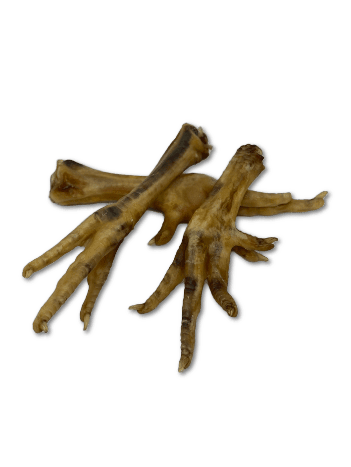 Chicken Feet - The Saltiest Dog