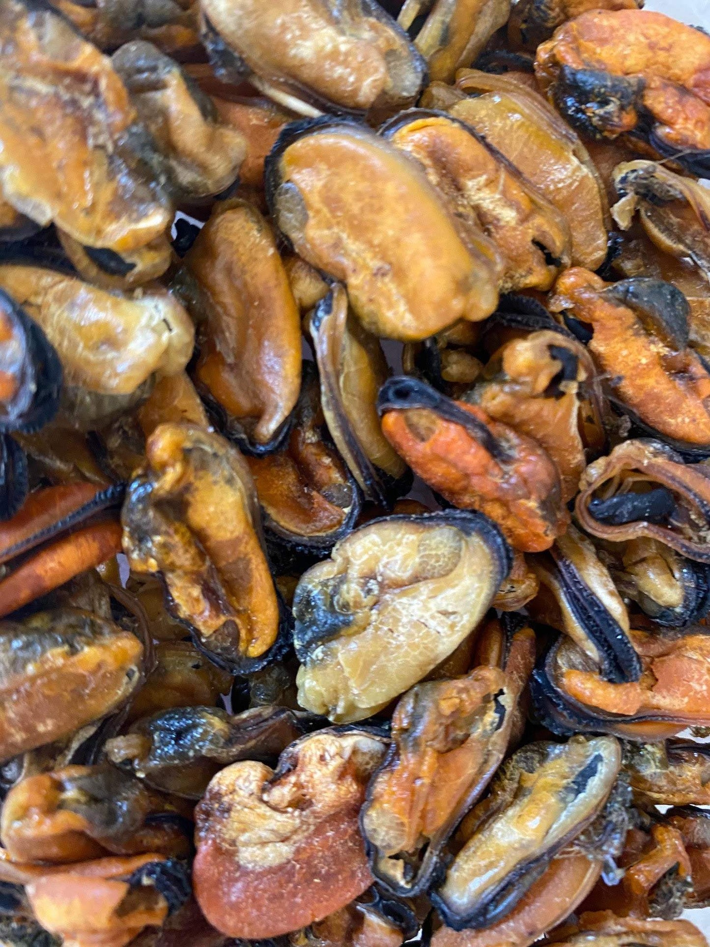 Green Lipped Mussels - The Saltiest Dog