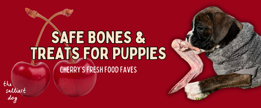 Safe Bones & Treats for Puppies – Cherry’s Fresh Food Faves