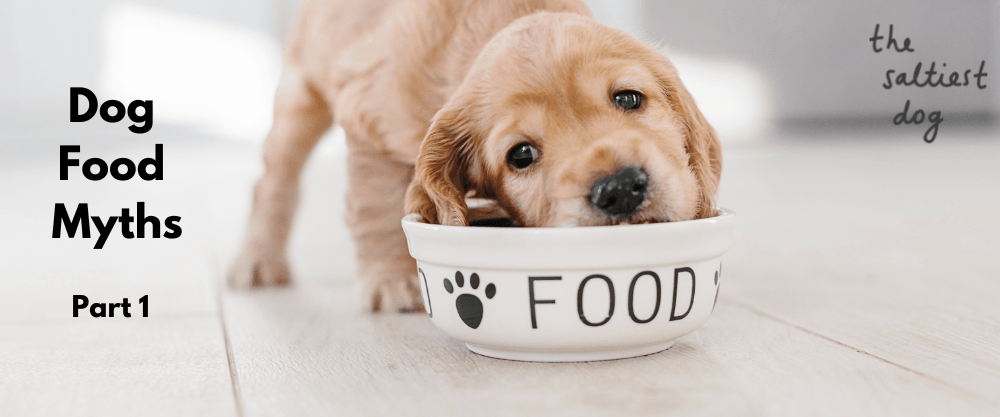 a puppy eats food from a dog bowl on the tiles with the heading "Dog Food Myths Part 1" and the text The Saltiest Dog