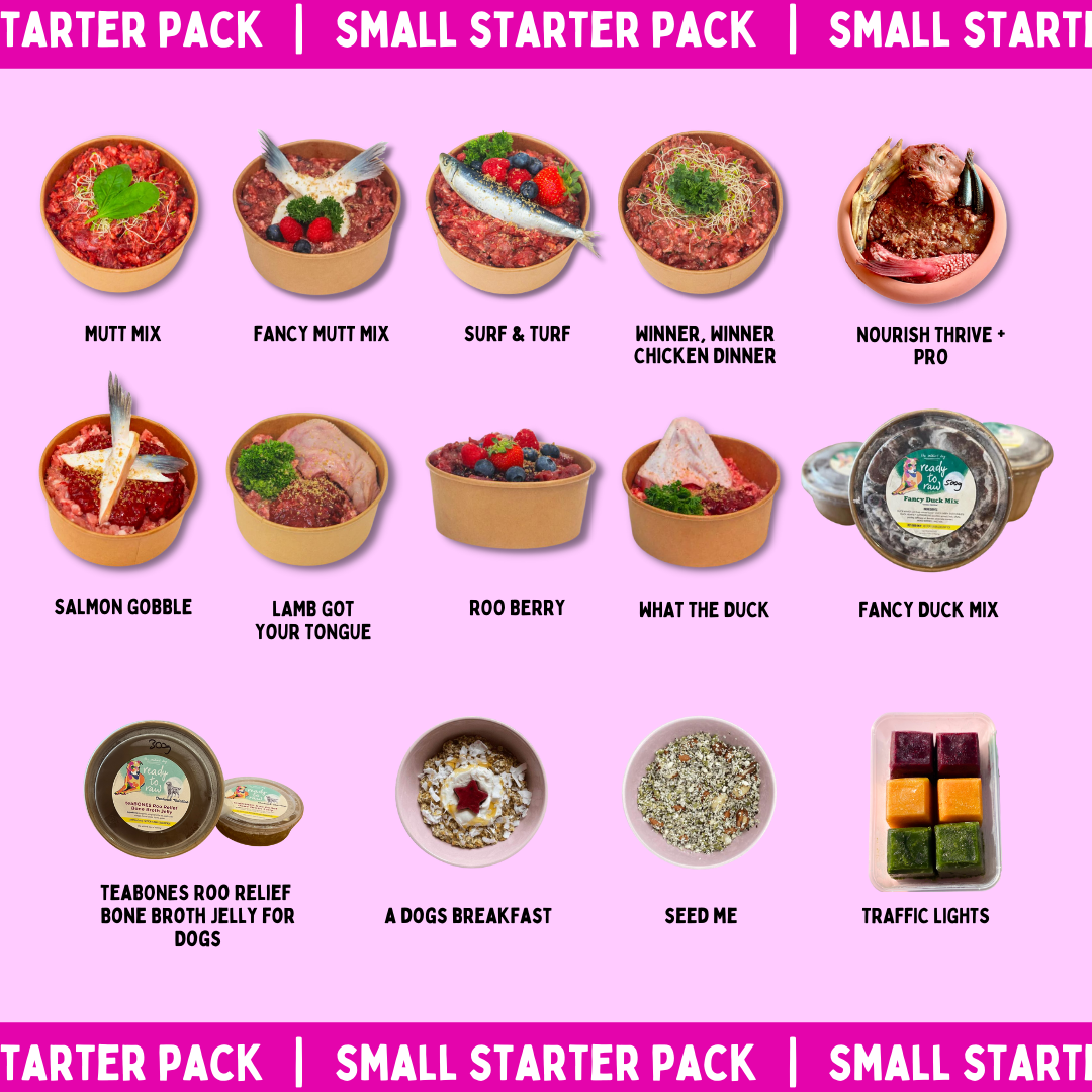 Super Salty Starter Pack (Small)