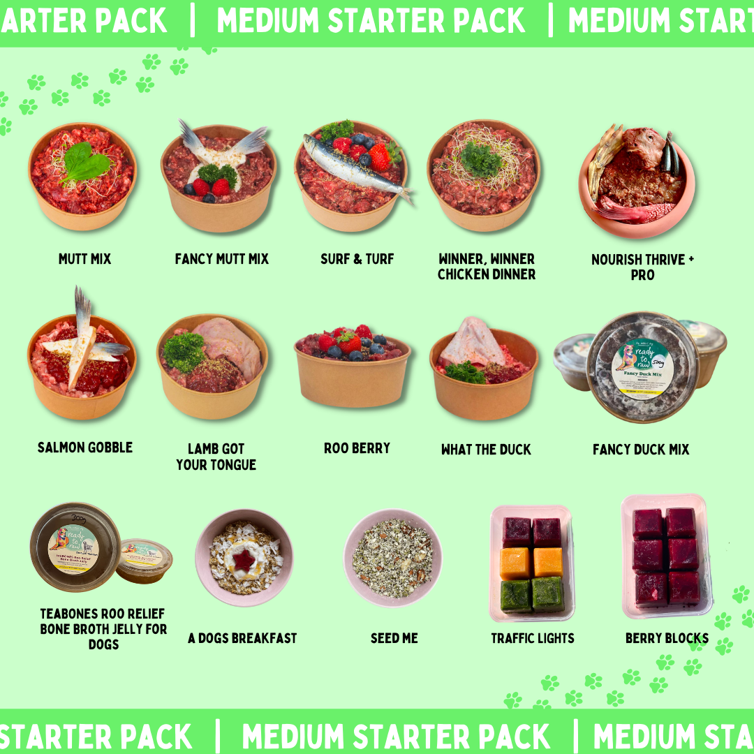 Super Salty Starter Pack (Medium)