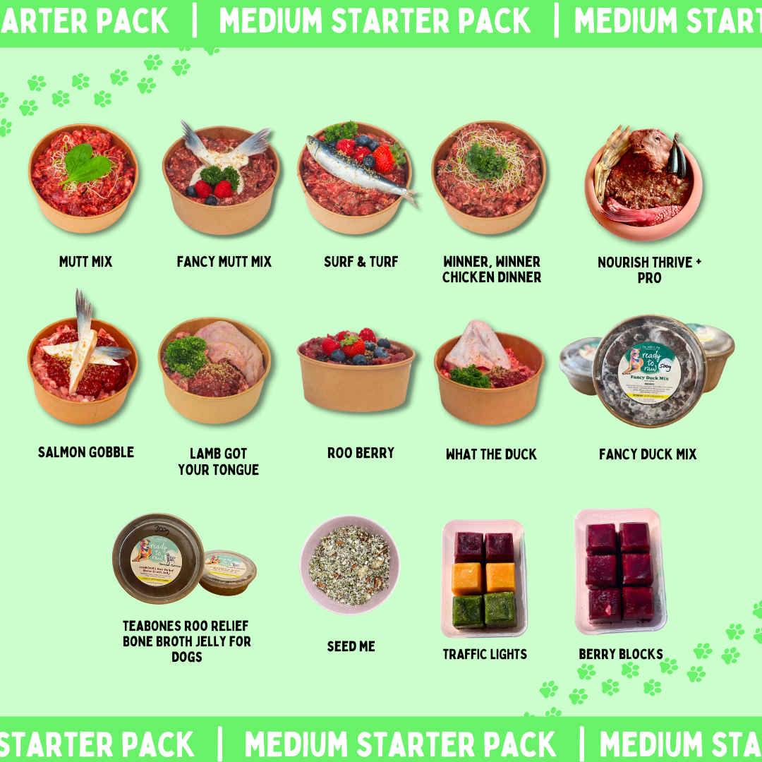 Super Salty Starter Pack (Medium)