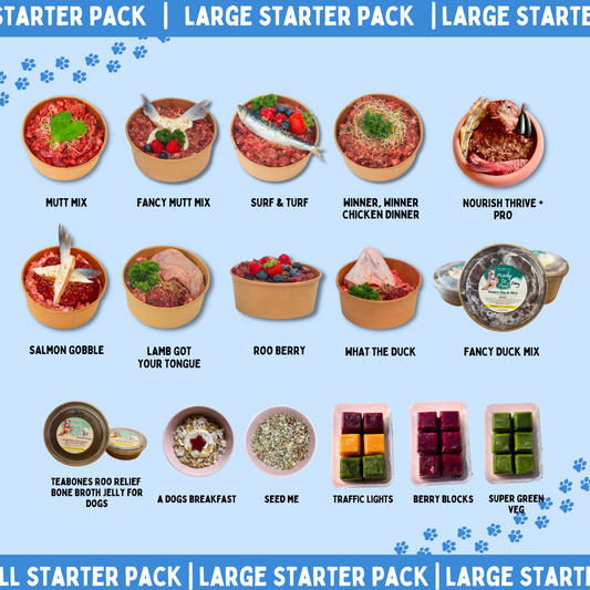 Super Salty Starter Pack (Large)