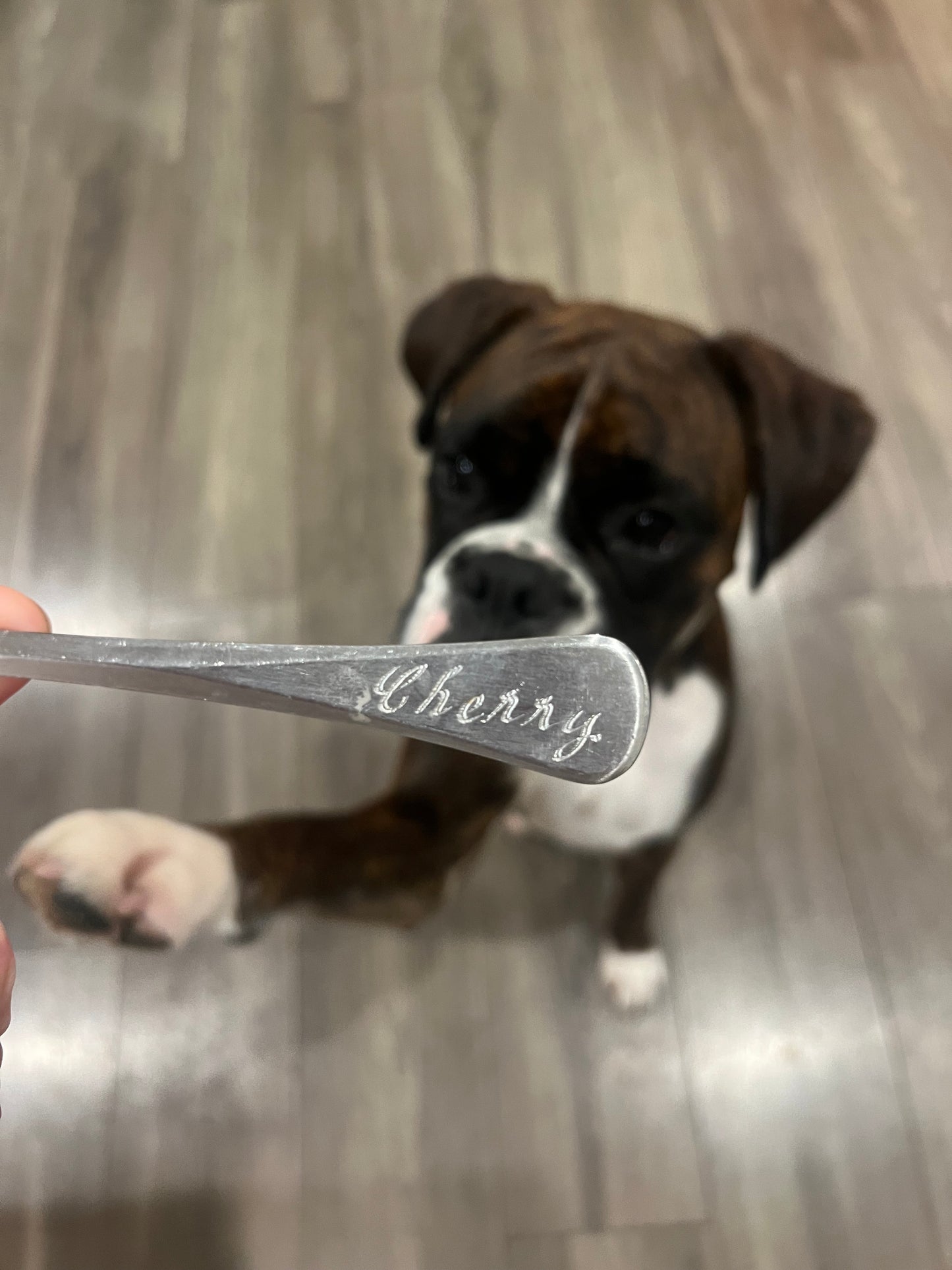 Custom Engraved Vintage Silver Spoon — Silver Spoon Society Membership
