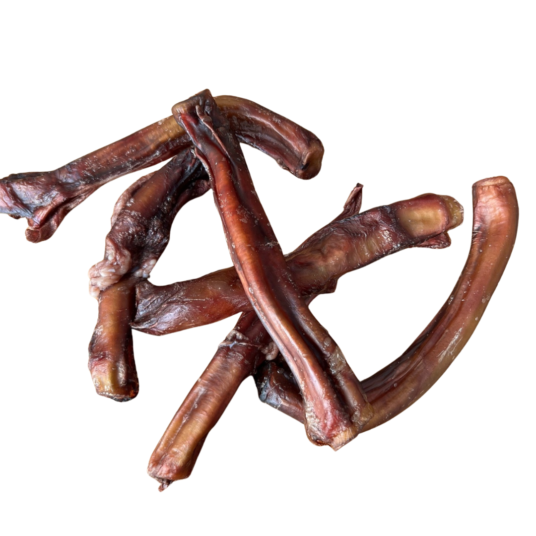 PIZZ -long lasting dog chew!