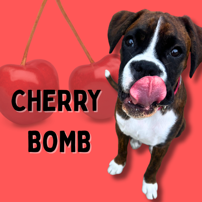 CHERRY BOMB - Limited Edition Raw Dog Food Meal