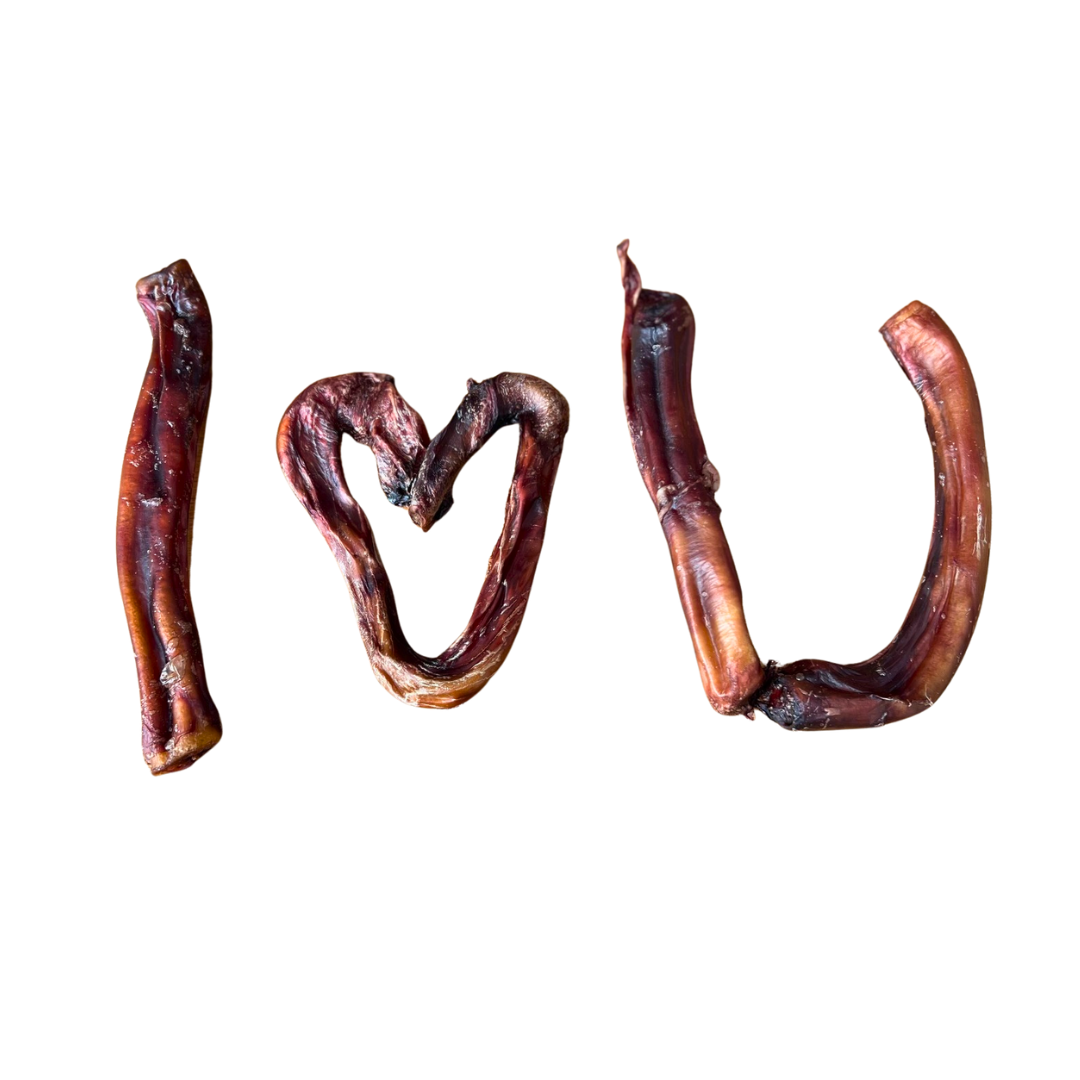 PIZZ -long lasting dog chew!
