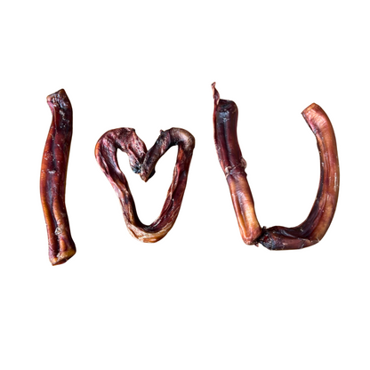 PIZZ -long lasting dog chew!