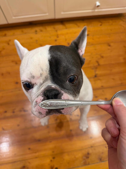 Custom Engraved Vintage Silver Spoon — Silver Spoon Society Membership