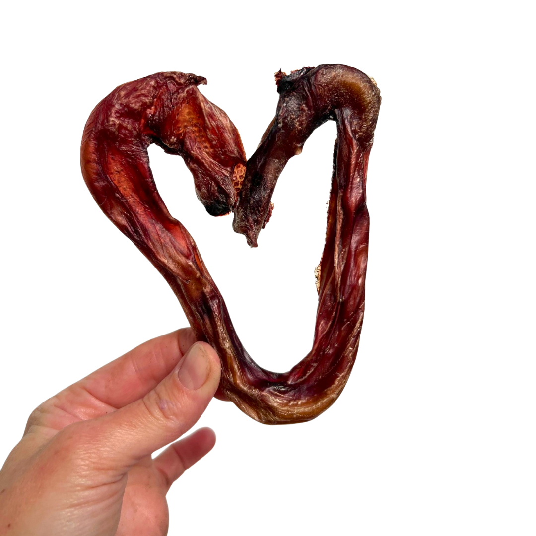 PIZZ -long lasting dog chew!