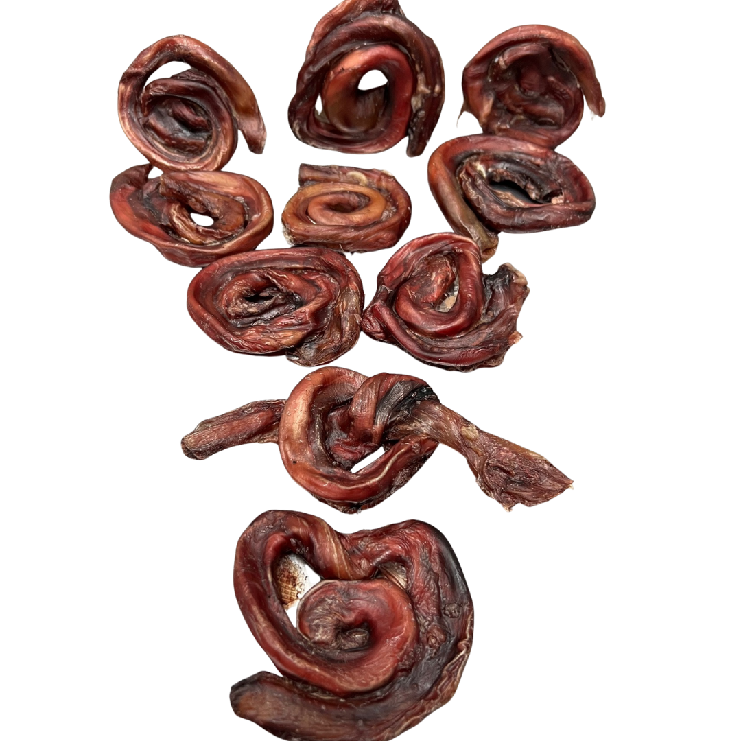 PIZZ -long lasting dog chew!