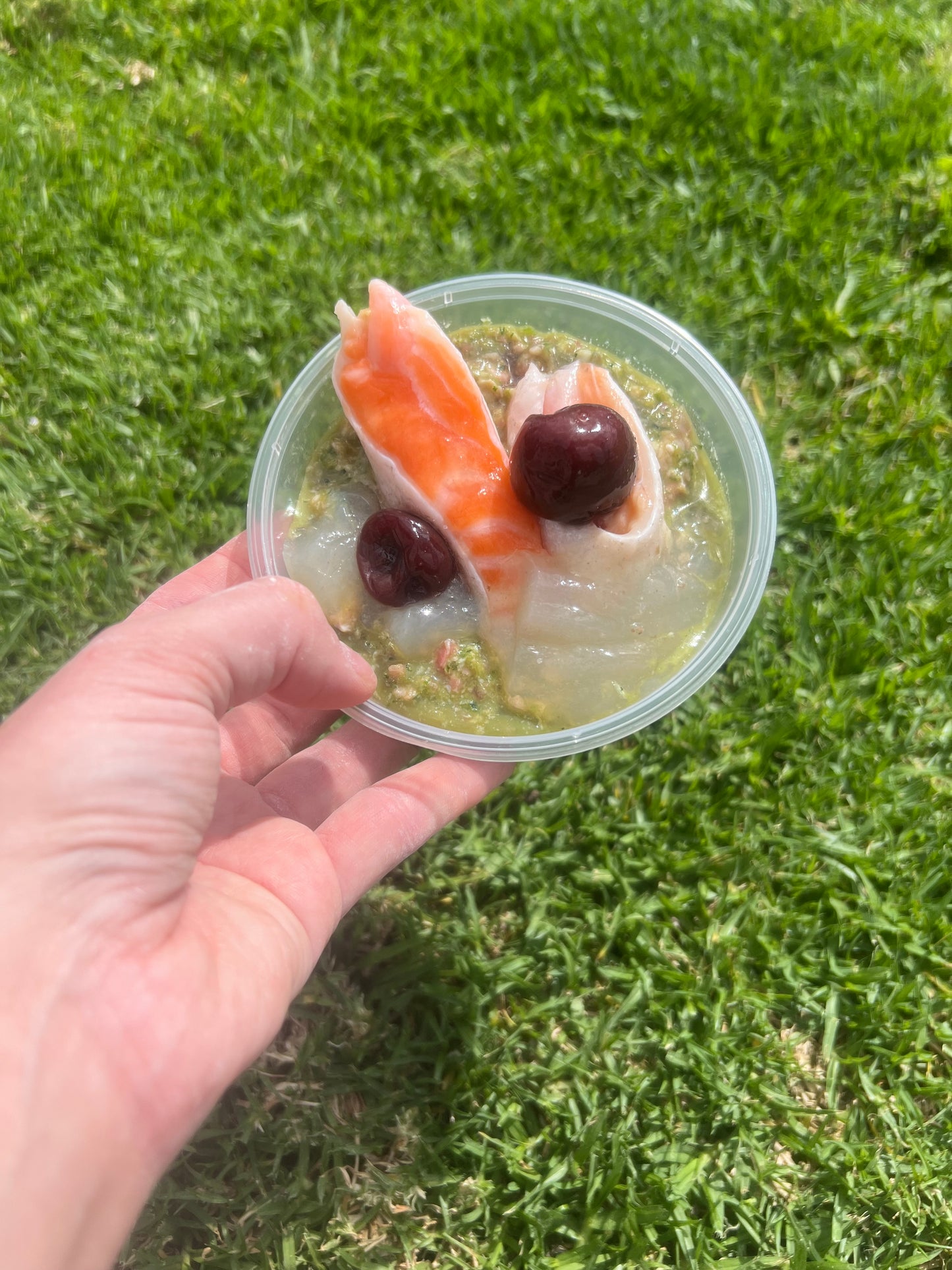 THE FRESHMAS FEAST - Three Course Christmas Meal For Dogs