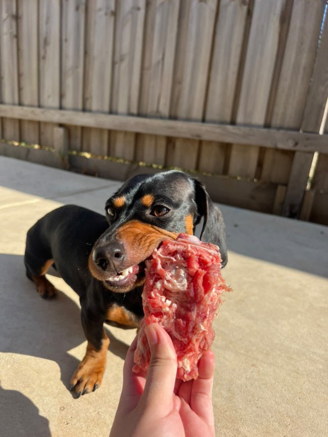 Whole Meaty Lamb Neck