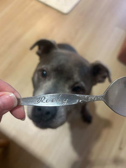 Custom Engraved Vintage Silver Spoon — Silver Spoon Society Membership