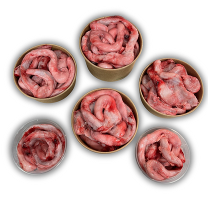 Bull Pizzle Fresh/Frozen