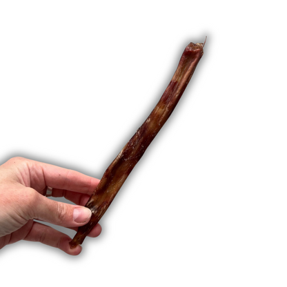 PIZZ -long lasting dog chew!