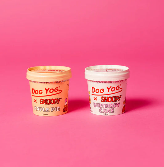 Dog Yog Cultured Ice Cream for Dogs