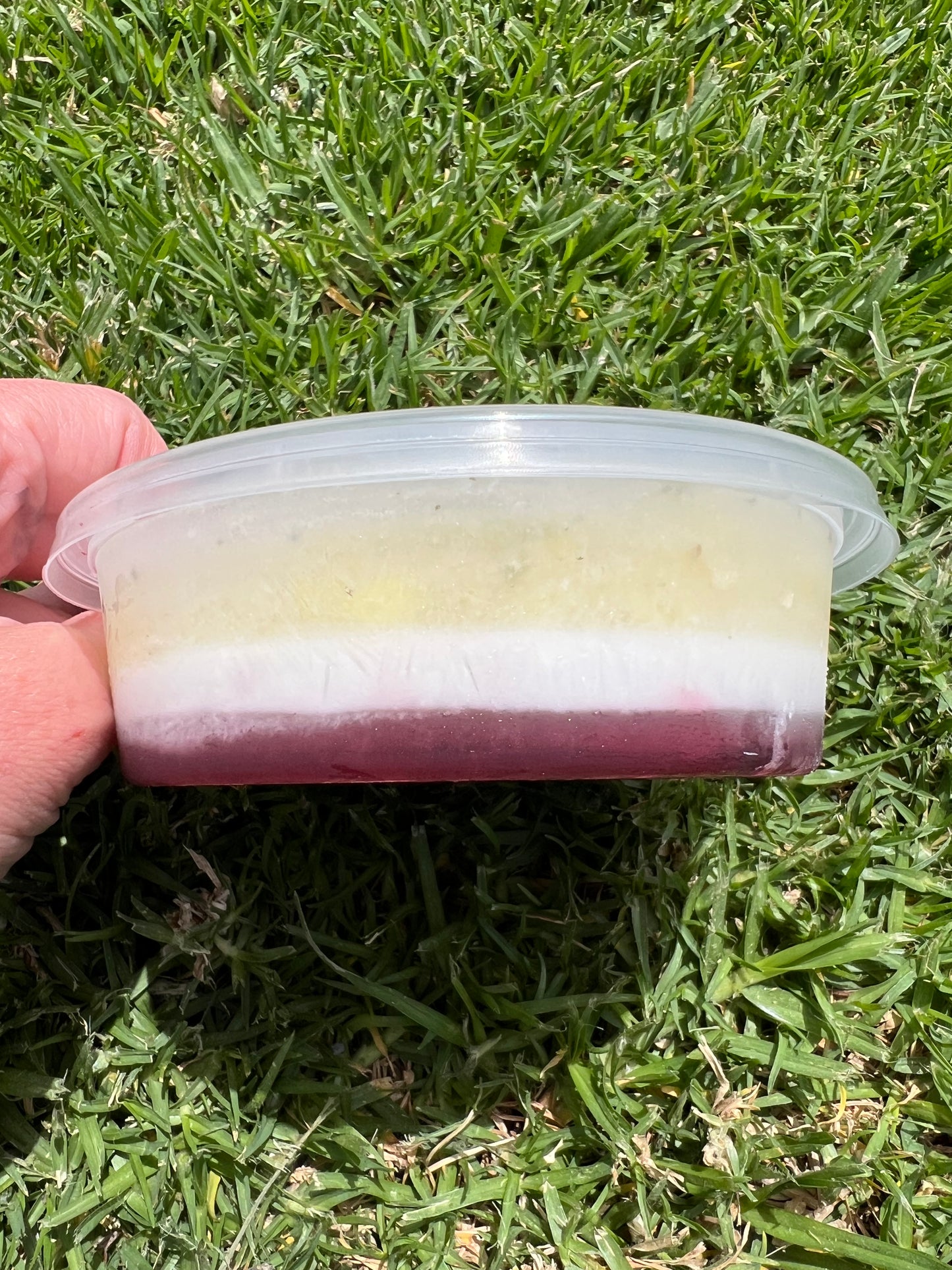 THE FRESHMAS FEAST - Three Course Christmas Meal For Dogs