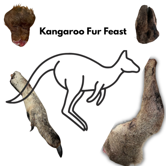 Kangaroo Fur Feast