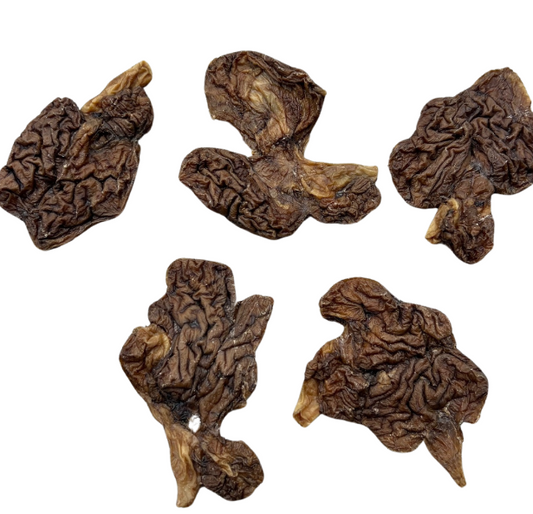 WHOLESALE dehydrated lamb brains