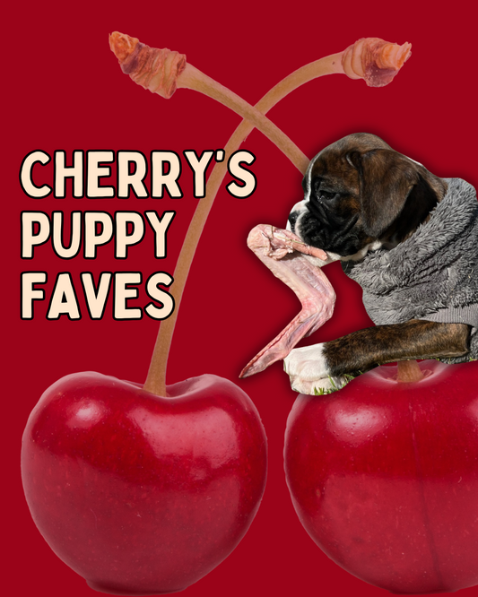 Cherry's Puppy Favourites