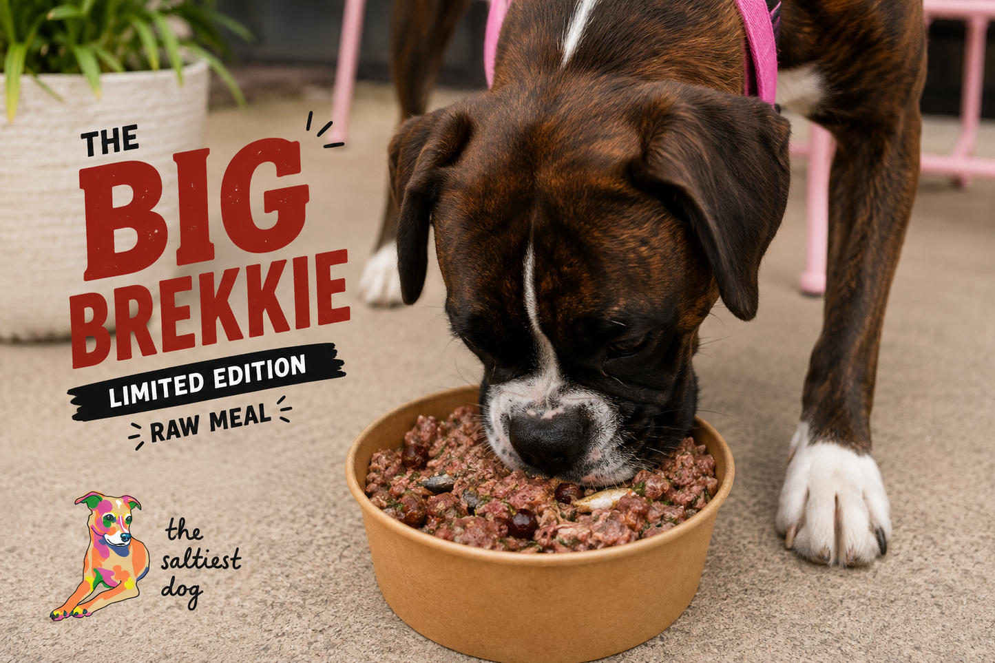 BIG BREKKIE - Limited Edition Raw Dog Food Meal