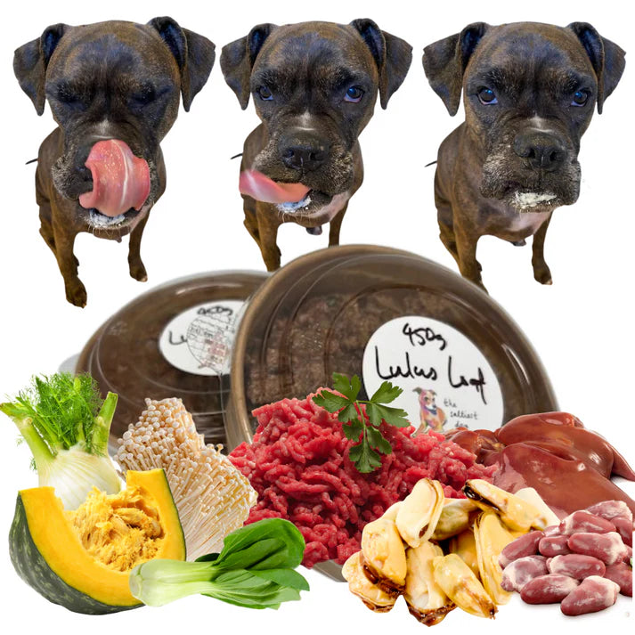 WHOLESALE Lulus Loaf