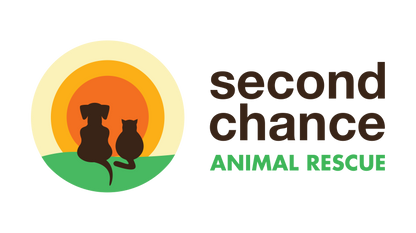 Buy A Rescue Dog A Meal