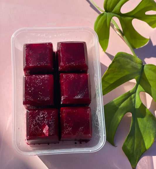 WHOLESALE Berry Blocks (6pk)