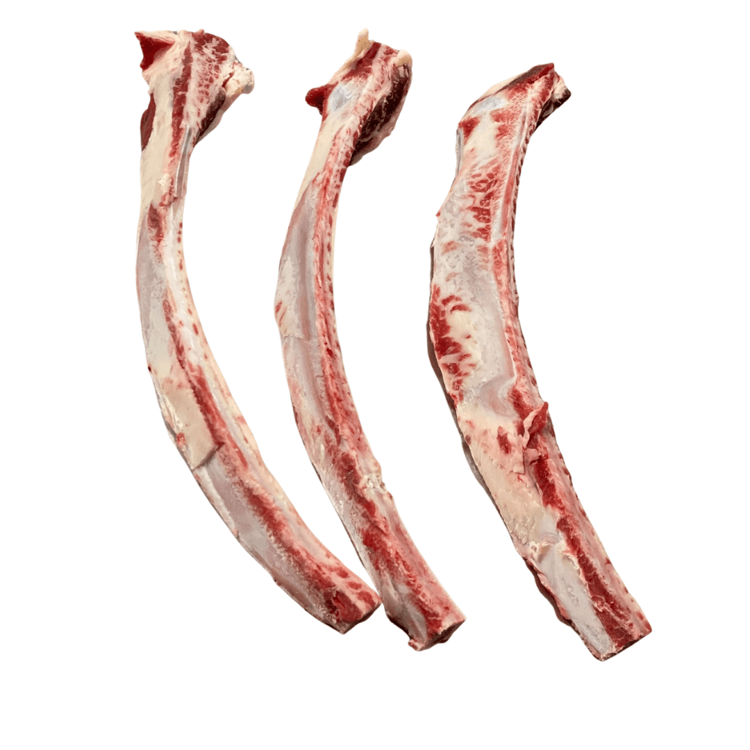 Beef Rib Bone